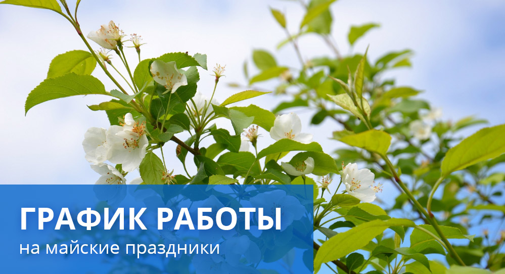График работы vgl на майские праздники 2019